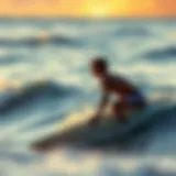 A surfer assessing wave conditions at dawn