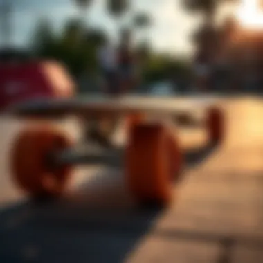 Skateboard deck and wheels close-up