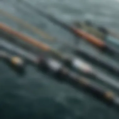 Selection of surf fishing rods lined up