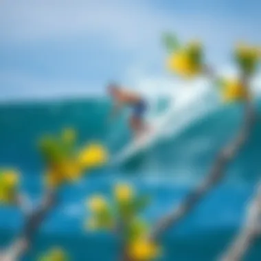 Understanding Buoyancy Mechanics Illustration demonstrating buoyancy mechanics in surfing