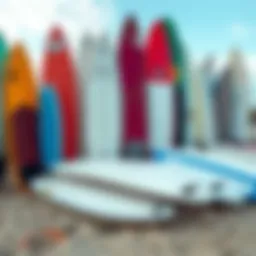 A collection of various beginner surfboards displayed on a beach.