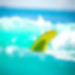 Variety of surf fin types