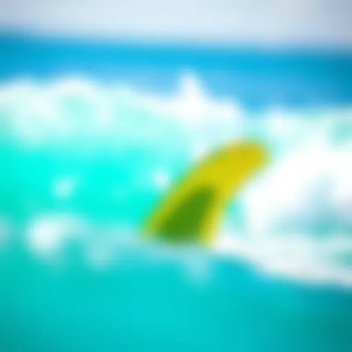 Explore Different Types of Surf Fins Variety of surf fin types