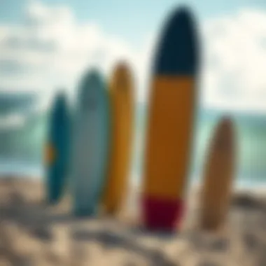 Exploring Bodyboard Shapes and Sizes Different bodyboard shapes and sizes