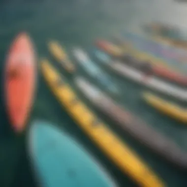 A variety of paddle boards showcasing different sizes and shapes