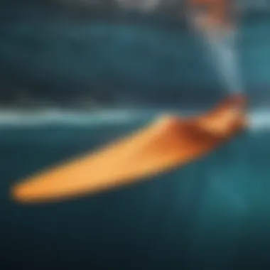 Understanding Important Swim Fin Features Key features of swim fins highlighted