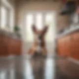 A dog observing the kitchen counter