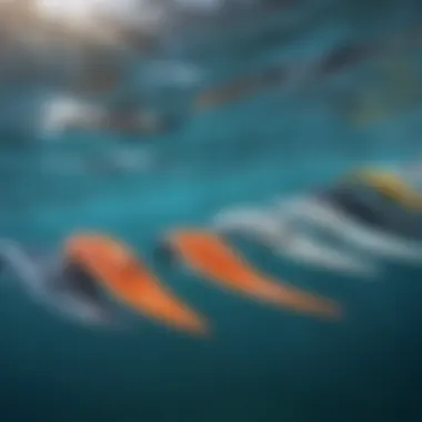 Comparative Overview of Swimming Fin Sizes Visual comparison of various swimming fin sizes
