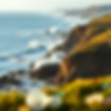 The Alluring Fort Bragg Coastline A scenic view of Fort Bragg coastline with waves crashing