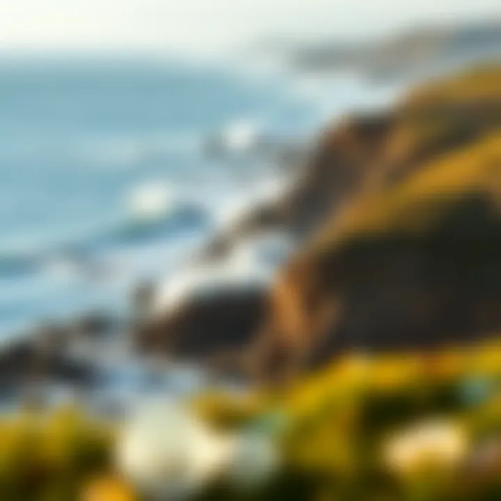 The Alluring Fort Bragg Coastline A scenic view of Fort Bragg coastline with waves crashing