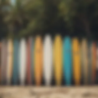 Colorful surfboards lined up on the beach