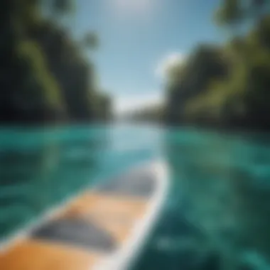 Close-up of a paddle board gliding over crystal-clear turquoise waters surrounded by vibrant marine life