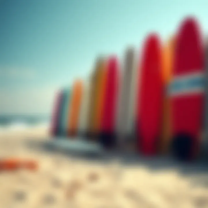 Surfboards lined up on the beach ready for surfing