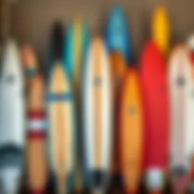 Different models of soft top longboards displayed together