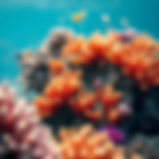 Vibrant coral reef teeming with marine life