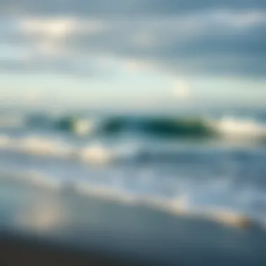 The Tranquility of Coastal Landscapes A serene beach with waves lapping the shore