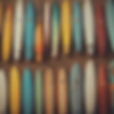 Diversity in Surfboard Types A variety of surfboards representing different surfing styles