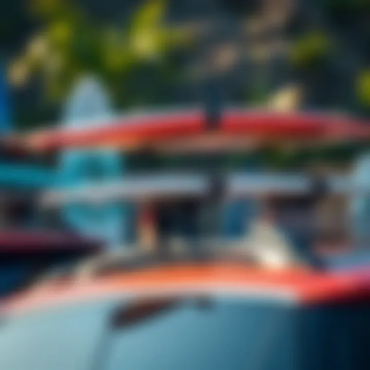 Types of Surfboard Rack Systems Various types of surfboard rack systems displayed together