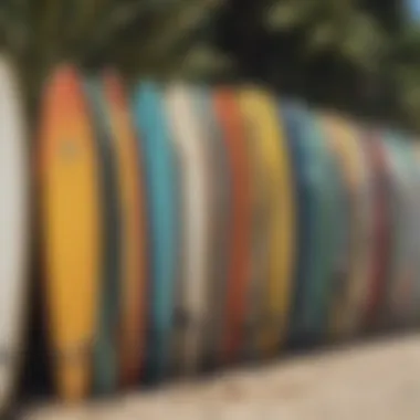 A Spectrum of Surfcraft Surfboards lined up on the beach