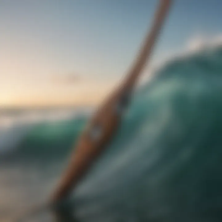 Exploring the Tsunami Trophy 2 Surf Rod: A Comprehensive Guide Summary