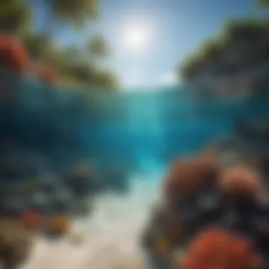 A serene beach scene illustrating the protective role of coral reefs.