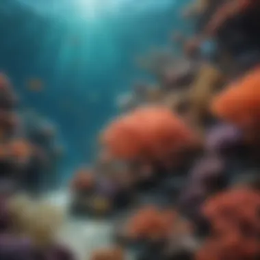 A captivating underwater view of coral reefs teeming with fish.