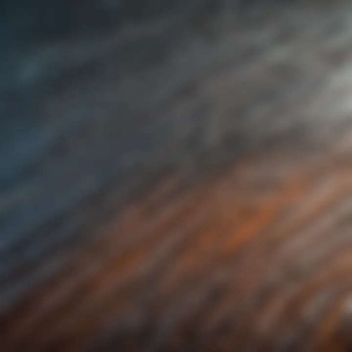 An intricate close-up of a shark's skin showcasing its unique texture