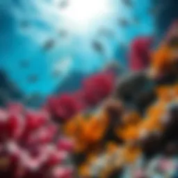Vibrant coral formations teeming with marine life