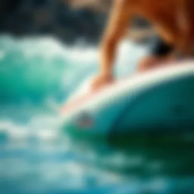 Surfboard being inflated with the iRocker pump