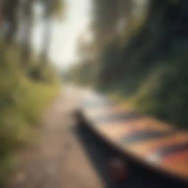 Scenic Longboarding Trail A scenic view of a longboarding trail with vibrant surroundings