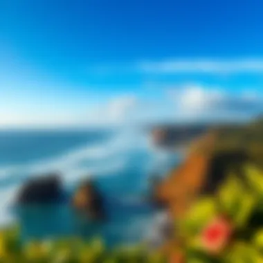 Breathtaking Pacific Coastline at Miramar Surf Camp Scenic view of the Pacific coastline near Miramar