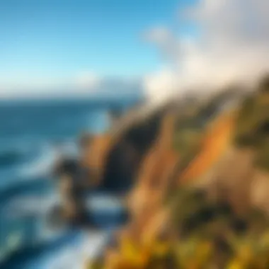 Big Sur: Untamed Beauty and Surfing Aerial view of the rugged coastline at Big Sur