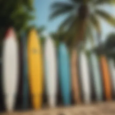 Surfboards lined up at the beach in Puerto Viejo