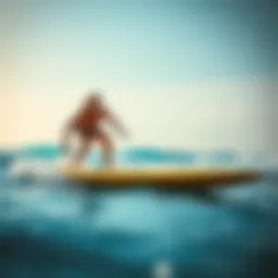 Skimboard designed for heavier riders showcasing wider dimensions