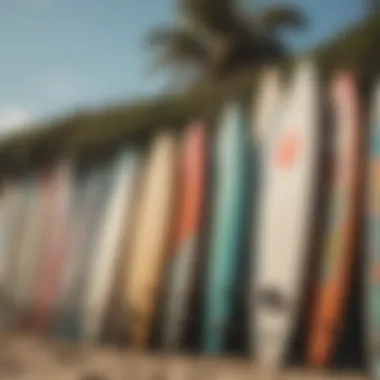 A vibrant display of surfboards lined up on the beach, showcasing the diversity of surf culture.