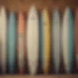 A variety of surfboards available for rent