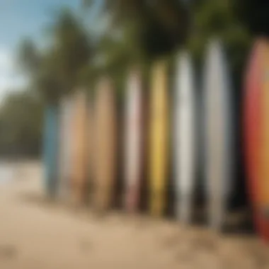 An array of surfboards displayed on the beach, representing various styles and options available.