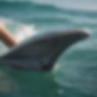 A close-up view of swim fins designed for bodyboarding, showcasing their intricate design.