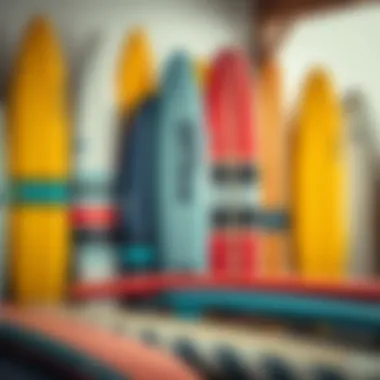 Different types of surfboards displayed