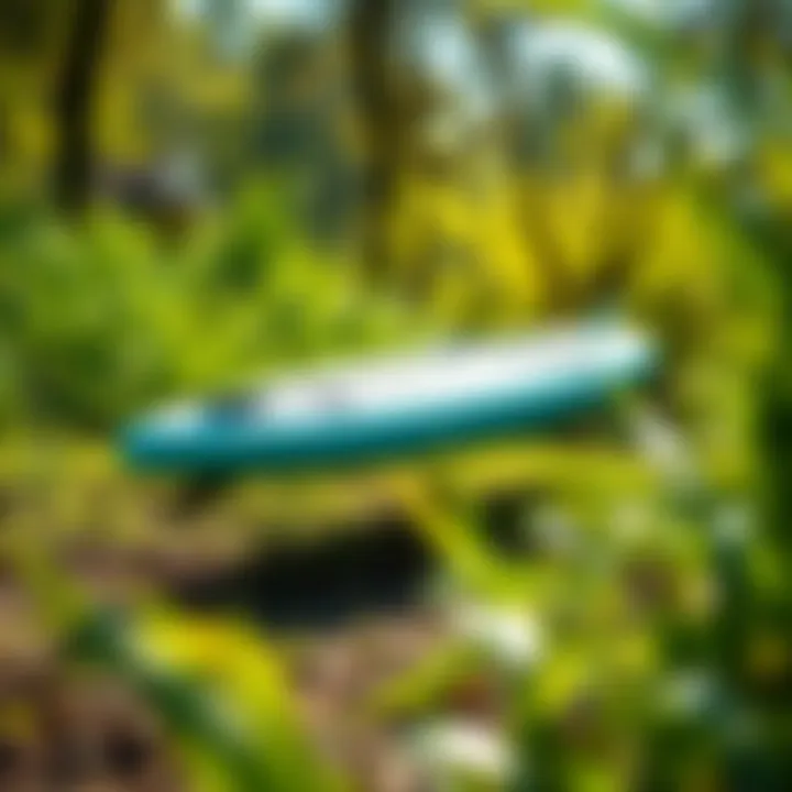 Eco-Friendly Inflatable Electric Surfboard An eco-friendly inflatable electric surfboard in a natural setting