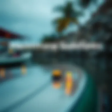 Maintenance Guidelines for Electric Surfboards Maintenance tips for inflatable electric surfboards displayed visually