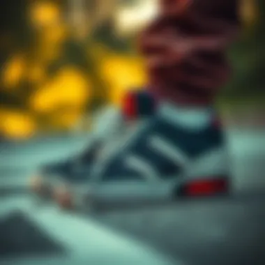 Classic skate shoe design showcasing vintage aesthetics