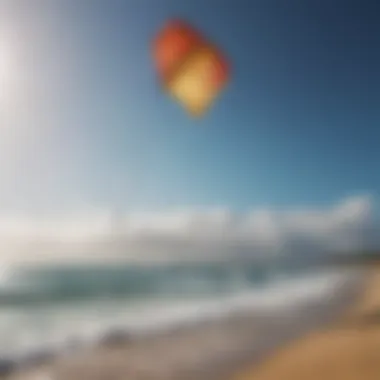 Ocean Rodeo kites in action over a vibrant shoreline