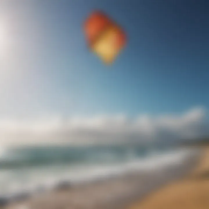 Ocean Rodeo kites in action over a vibrant shoreline