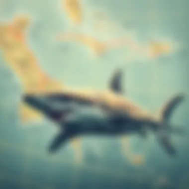 Map showing the migratory patterns of great white sharks.