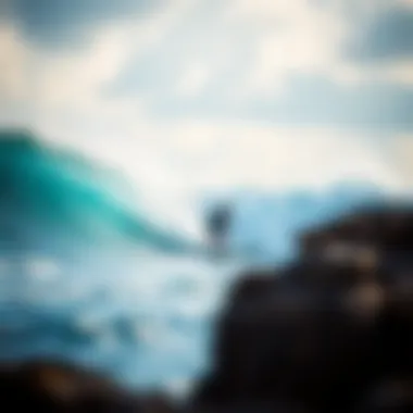 Protecting Our Waves: Environmental Efforts Environmental initiatives supporting coastal ecosystems