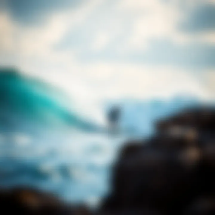 Protecting Our Waves: Environmental Efforts Environmental initiatives supporting coastal ecosystems