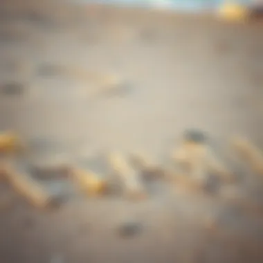 A close-up of Hawaiian language terms written on a sandy beach