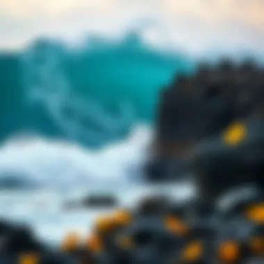 The ocean waves crashing against a rocky shore in Hawaii