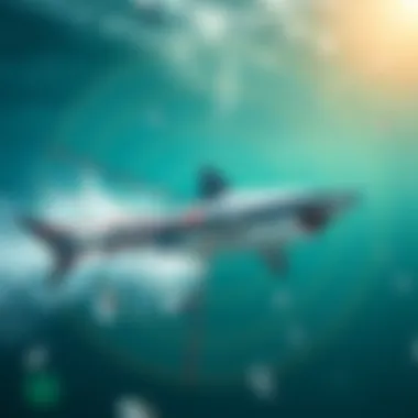 Schematic Representation of Shark Radar Technology Schematic representation of shark radar technology